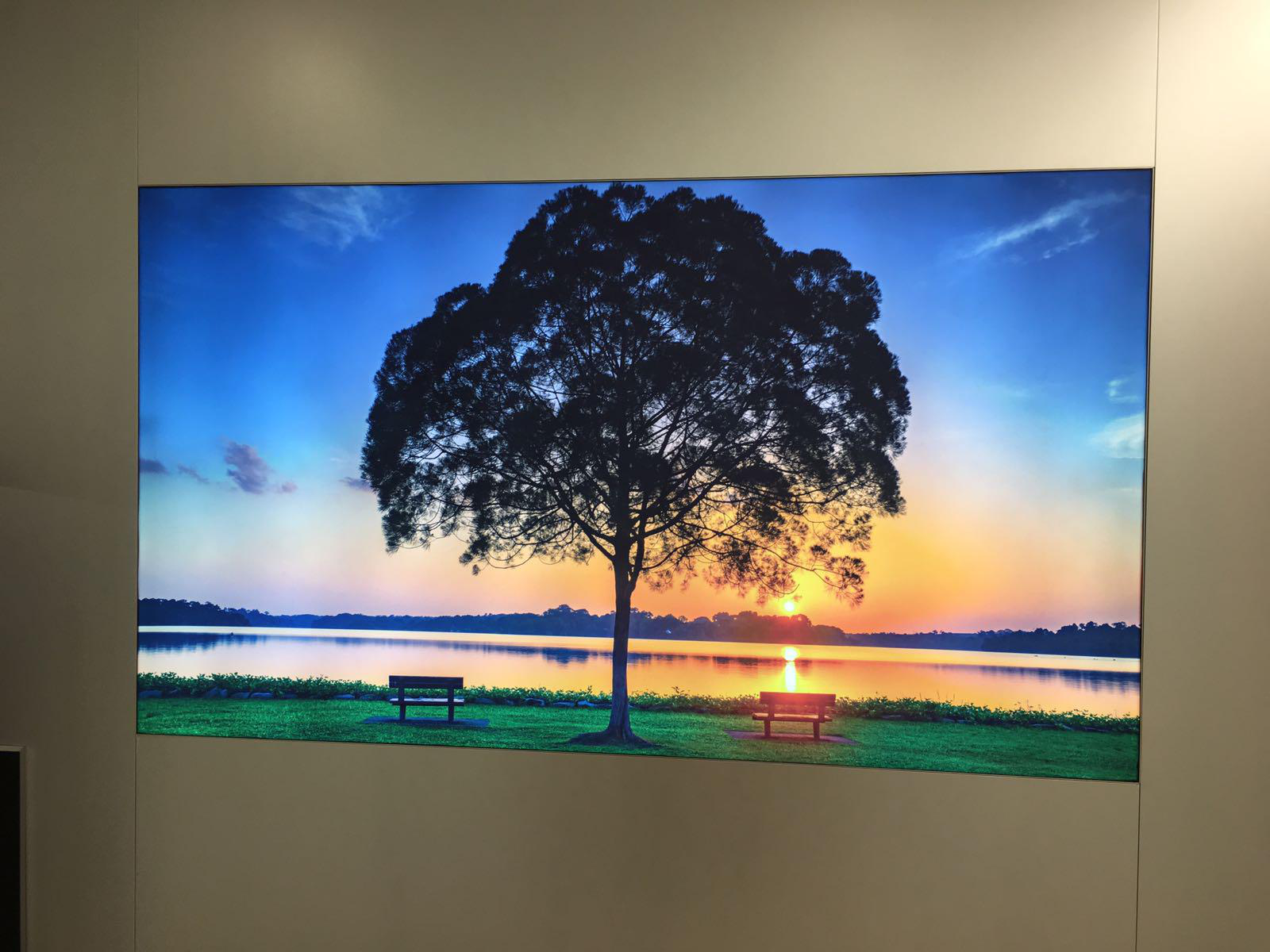 Big tree sunset fabric canvas lightbox with vibrant color reproduction
