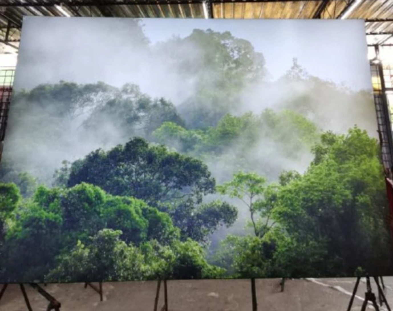 Forest scene fabric canvas lightbox for nature-themed interior design