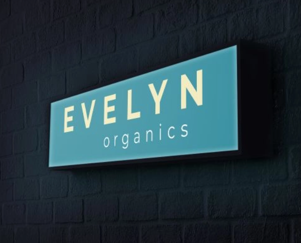 Standard lightbox signage with aluminum frame and LED backlighting for menus and promotions